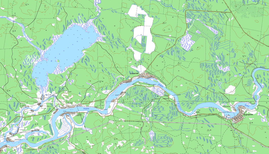 карта посёлок Бочилово  в хорошем качестве
