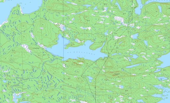 карта  озеро Невгозеро  в хорошем качестве